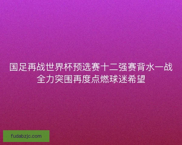 国足再战世界杯预选赛十二强赛背水一战全力突围再度点燃球迷希望