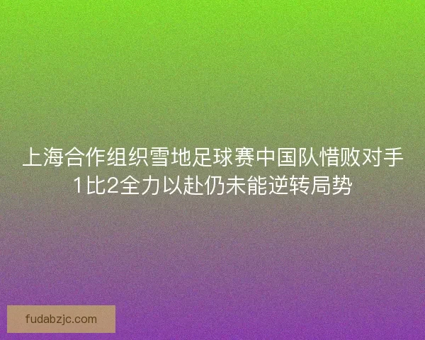 上海合作组织雪地足球赛中国队惜败对手1比2全力以赴仍未能逆转局势