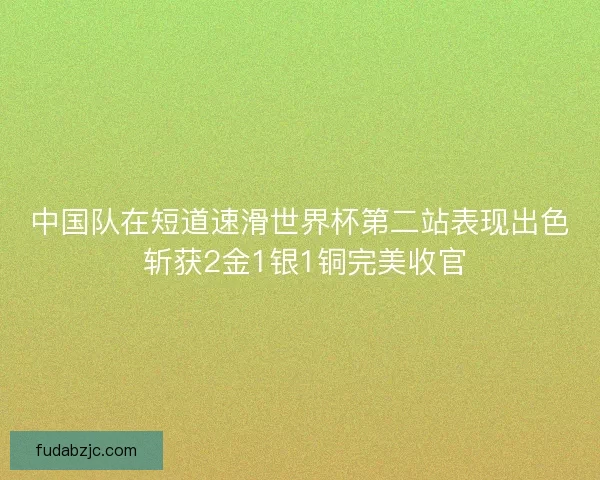 中国队在短道速滑世界杯第二站表现出色 斩获2金1银1铜完美收官